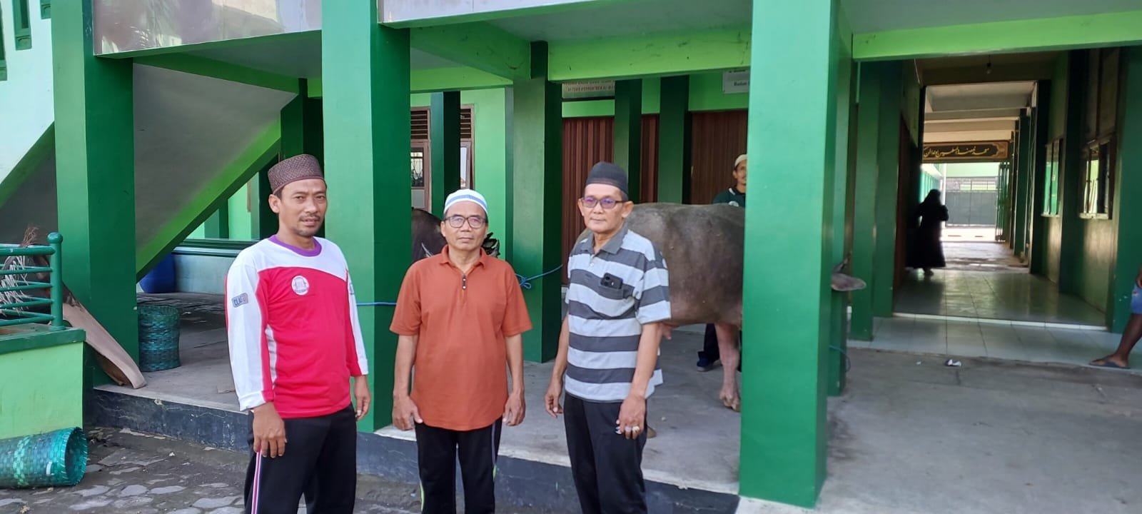 Madrasah Nahdlatul Muslimin, Sembelih 2 Ekor Kerbau